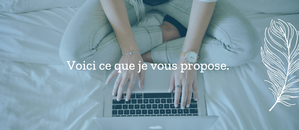 les prestations que je propose en rédaction web seo